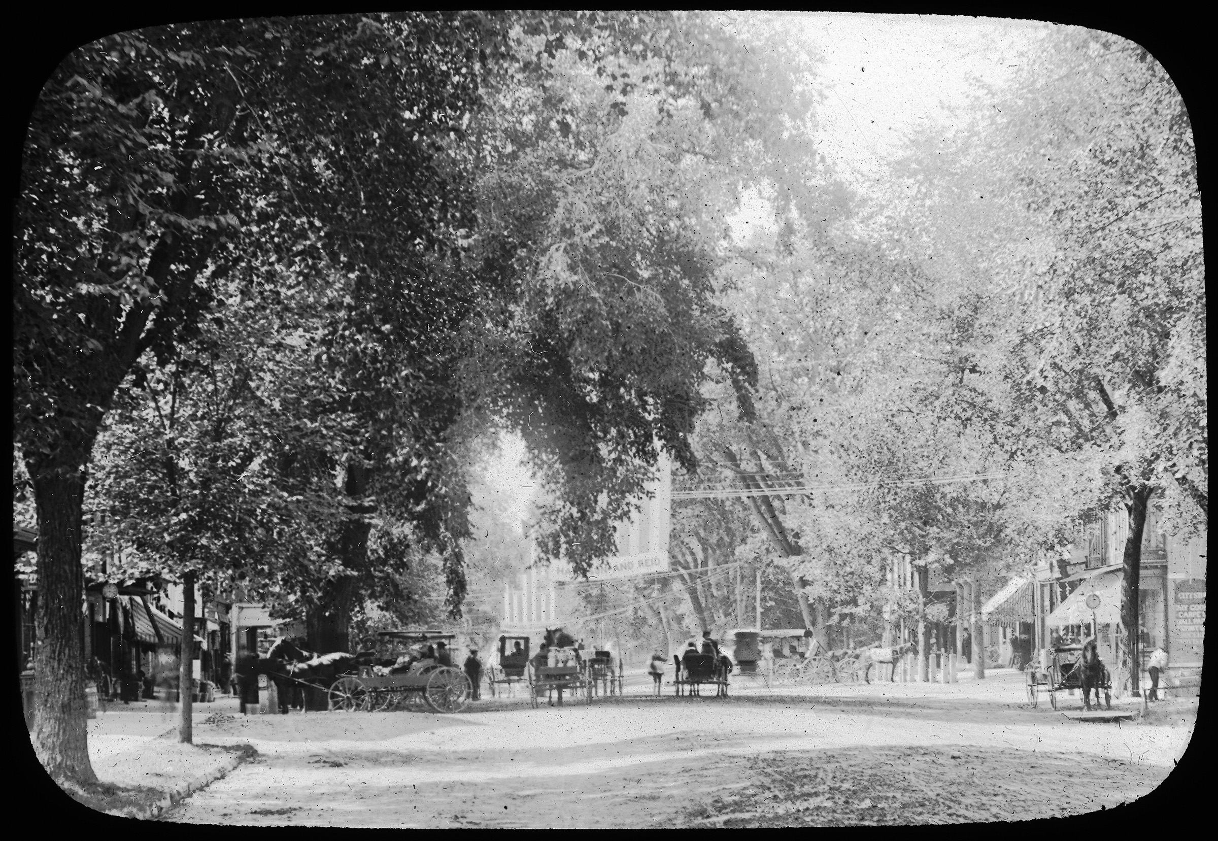 Great Barrington's Main Street in the Nineteenth Century, when it had a classic American streetscape of mature street trees forming a canopy over the space.